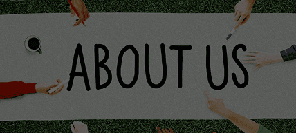 BeWise team collaboration banner for the About Us page